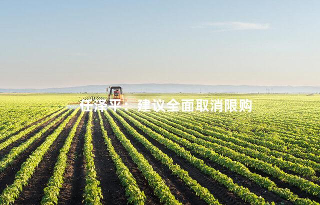 任泽平：建议全面取消限购