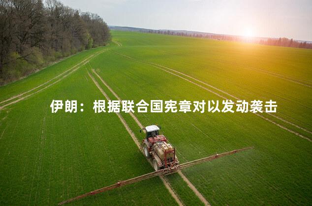 伊朗：根据联合国宪章对以发动袭击