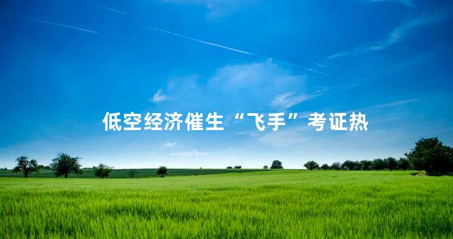 低空经济催生“飞手”考证热