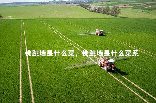 佛跳墙是什么菜，佛跳墙是什么菜系