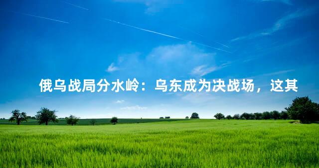 俄乌战局分水岭：乌东成为决战场，这其中难道有什么圈套