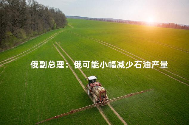 俄副总理：俄可能小幅减少石油产量