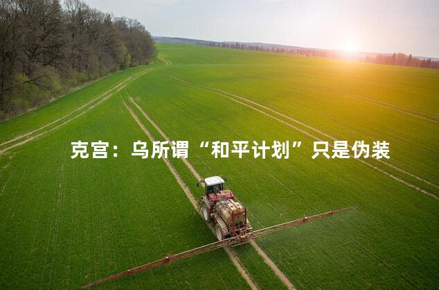 克宫：乌所谓“和平计划”只是伪装