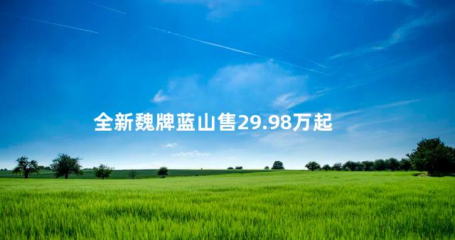 全新魏牌蓝山售29.98万起