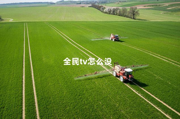 全民tv怎么没