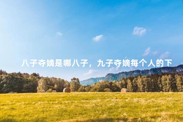八子夺嫡是哪八子，九子夺嫡每个人的下场