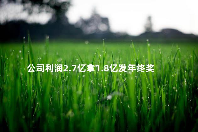 公司利润2.7亿拿1.8亿发年终奖