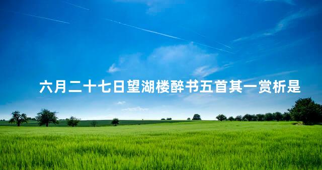 六月二十七日望湖楼醉书五首其一赏析是什么，六月二十七日望湖楼醉书五首(其一)