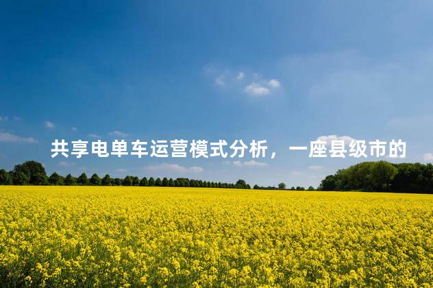 共享电单车运营模式分析，一座县级市的共享电单车运营账本