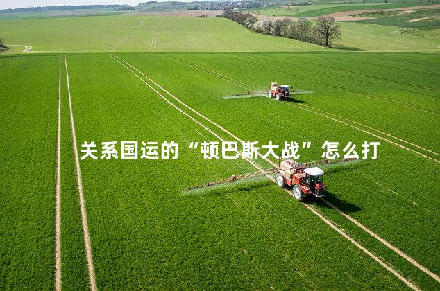 关系国运的“顿巴斯大战”怎么打