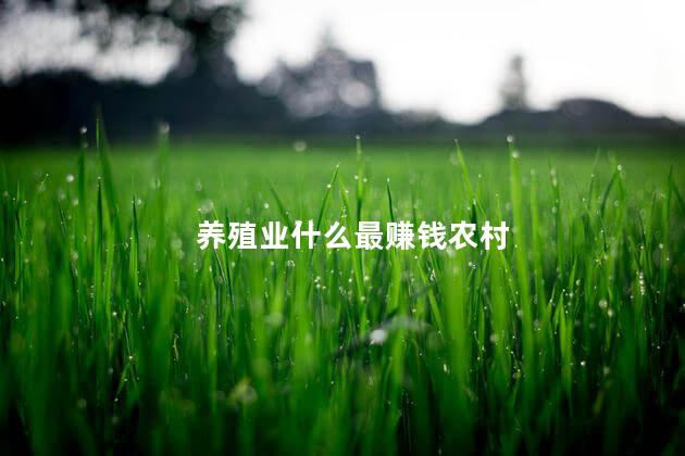 养殖业什么最赚钱农村