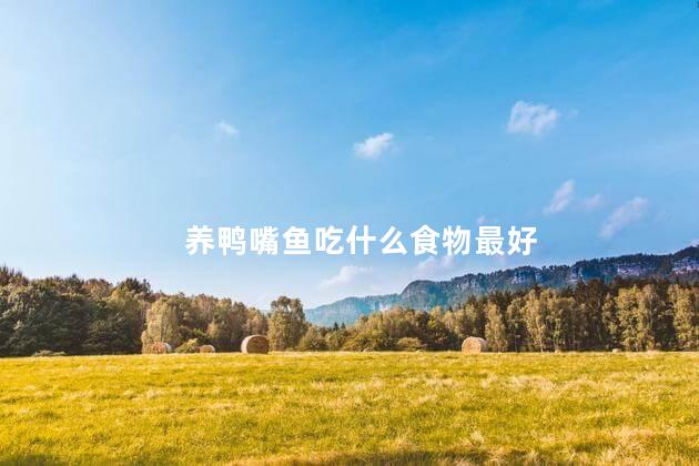 养鸭嘴鱼吃什么食物最好