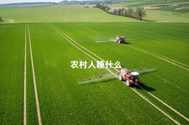 农村人睡什么
