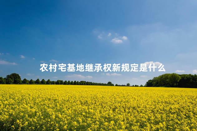 农村宅基地继承权新规定是什么