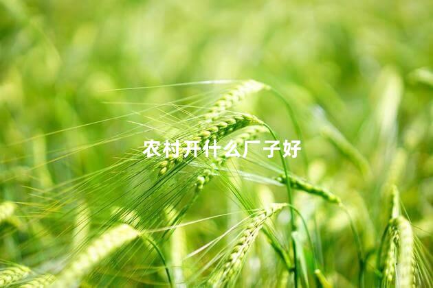 农村开什么厂子好