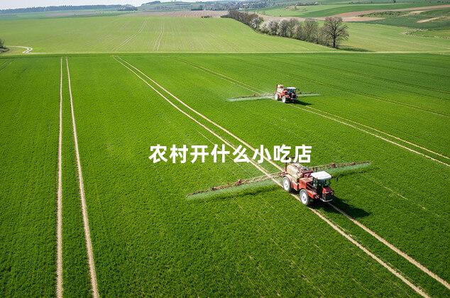 农村开什么小吃店
