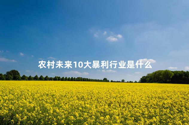 农村未来10大暴利行业是什么