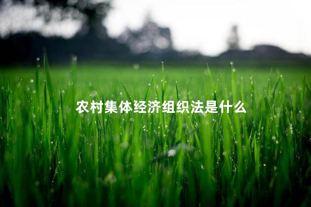 农村集体经济组织法是什么
