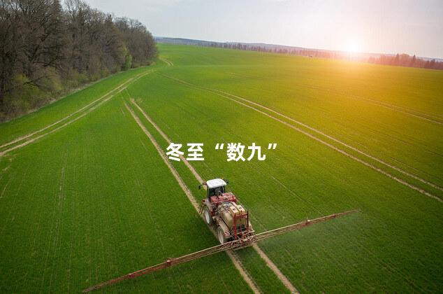 冬至“数九”