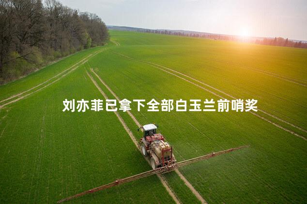 刘亦菲已拿下全部白玉兰前哨奖