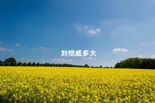 刘恺威多大