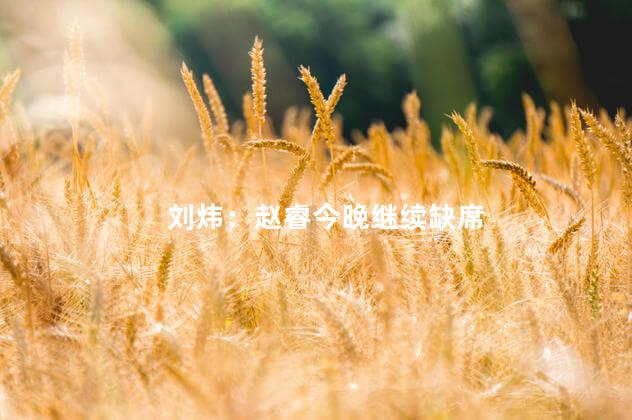刘炜：赵睿今晚继续缺席