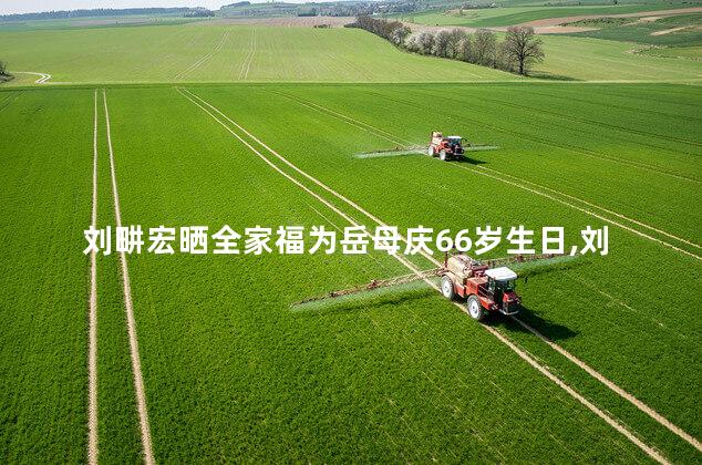 刘畊宏晒全家福为岳母庆66岁生日,刘家媳妇全家福