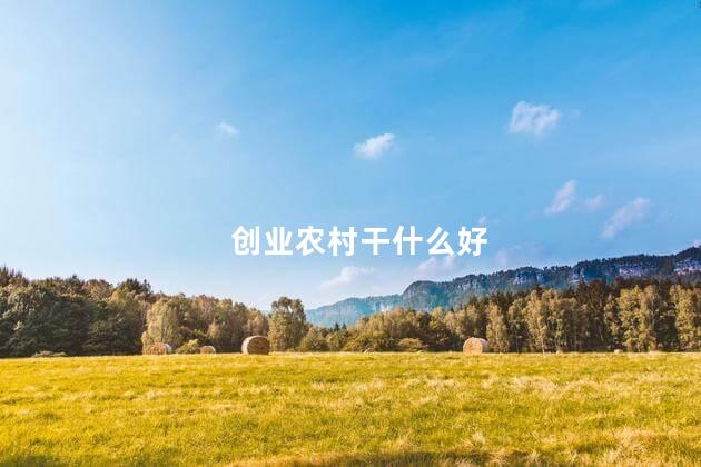 创业农村干什么好