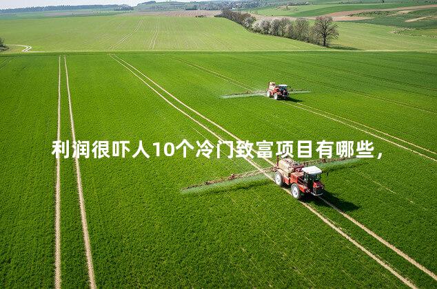 利润很吓人10个冷门致富项目有哪些，成本低的暴利养殖