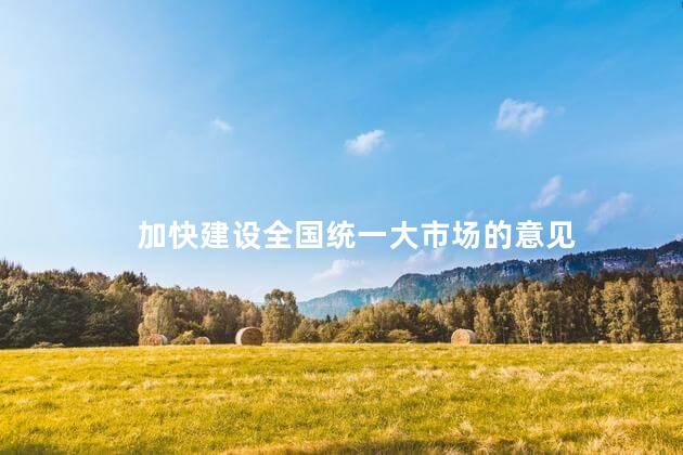 加快建设全国统一大市场的意见