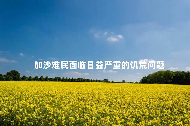 加沙难民面临日益严重的饥荒问题
