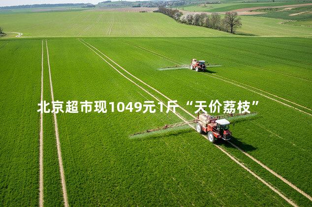 北京超市现1049元1斤“天价荔枝”是怎么回事，北京超市荔枝价格