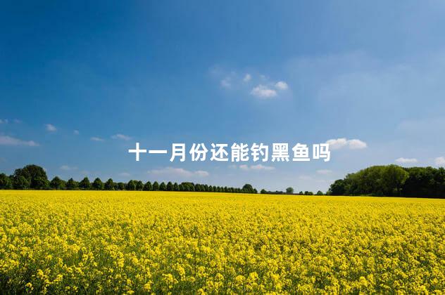 十一月份还能钓黑鱼吗