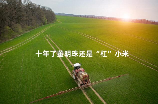 十年了董明珠还是“杠”小米