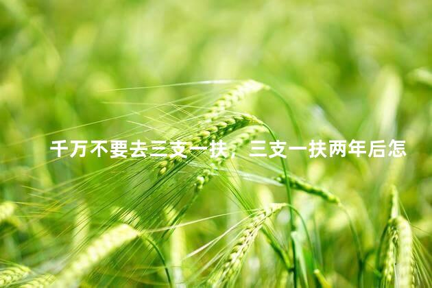 千万不要去三支一扶，三支一扶两年后怎么办