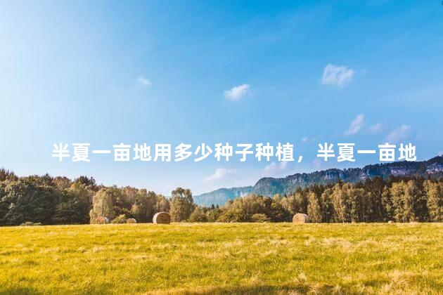 半夏一亩地用多少种子种植，半夏一亩地用多少种子产多少斤种子