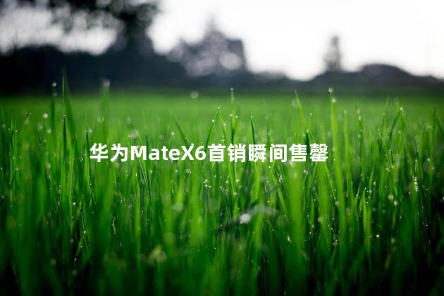 华为MateX6首销瞬间售罄