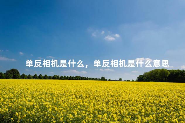 单反相机是什么，单反相机是什么意思