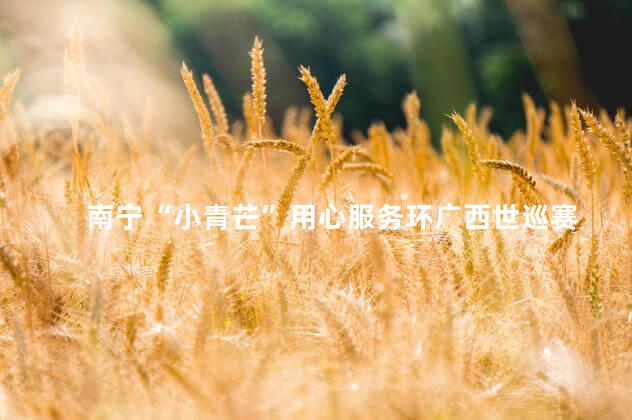 南宁“小青芒”用心服务环广西世巡赛