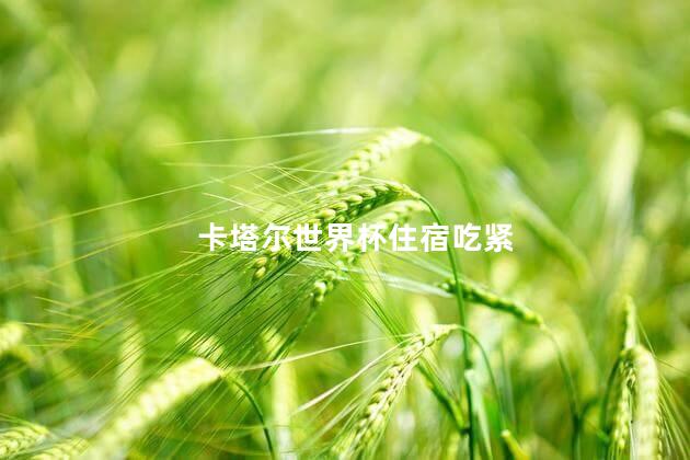 卡塔尔世界杯住宿吃紧