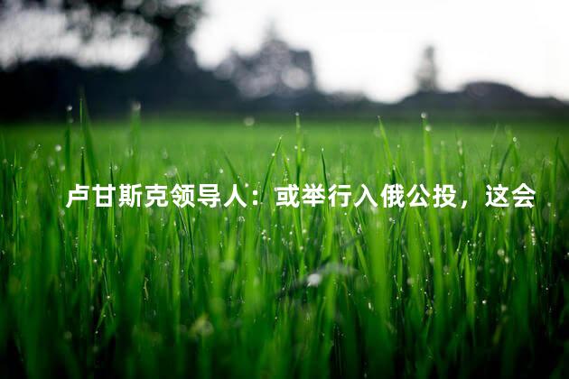 卢甘斯克领导人：或举行入俄公投，这会不会引来连锁反应呢？