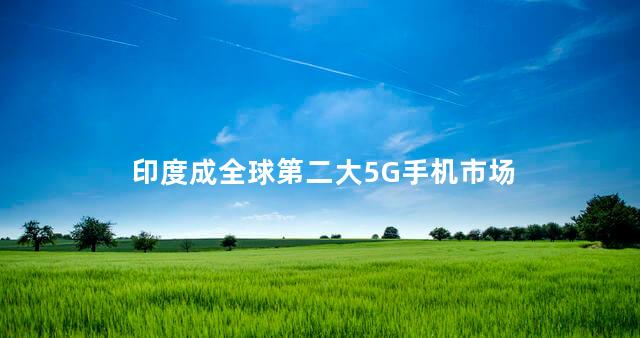 印度成全球第二大5G手机市场