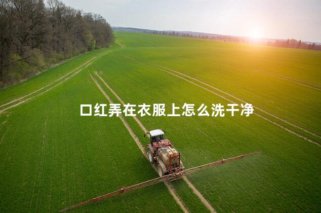 口红弄在衣服上怎么洗干净
