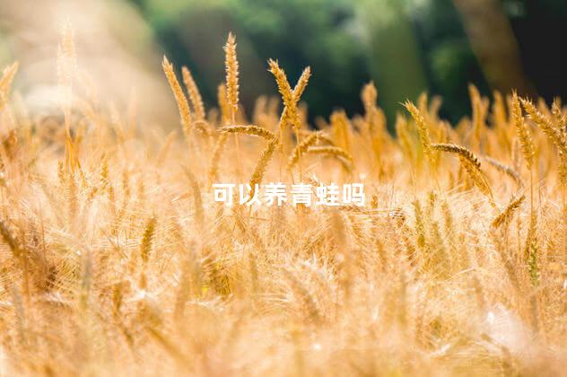 可以养青蛙吗