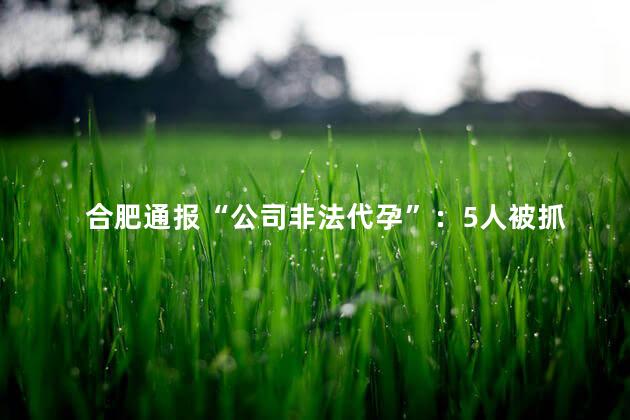 合肥通报“公司非法代孕”：5人被抓