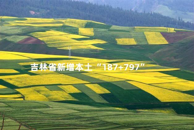 吉林省新增本土“187+797”