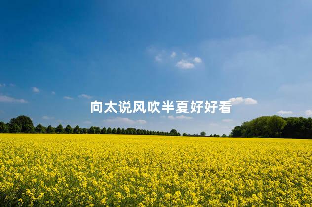向太说风吹半夏好好看