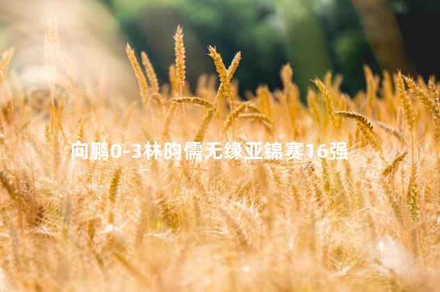 向鹏0-3林昀儒无缘亚锦赛16强
