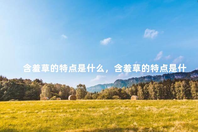 含羞草的特点是什么，含羞草的特点是什么三年级作文