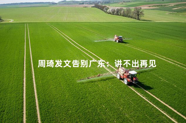 周琦发文告别广东：讲不出再见